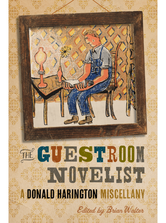 Guestroom Novelist cover